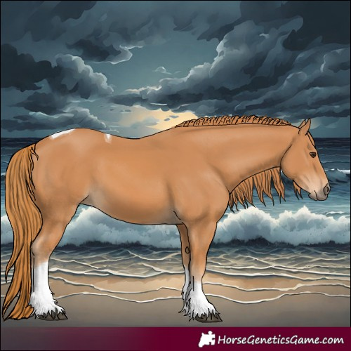 Horse Color:Chestnut Tobiano