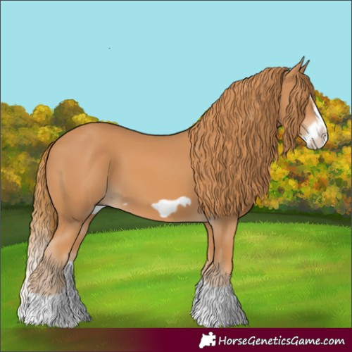 Horse Color:Chestnut Splash Frame 
