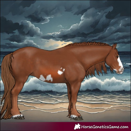 Horse Color:Chestnut Frame