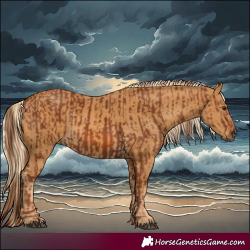 Horse Color:Chestnut  and Palomino 