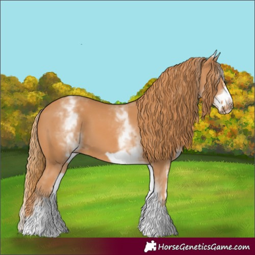 Horse Color:White Spotted Chestnut Frame 