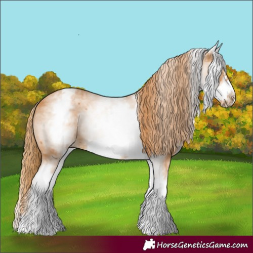 Horse Color:White Spotted Chestnut Frame 