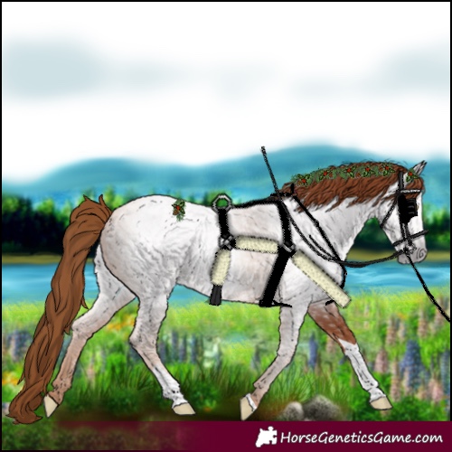 Horse Color:Gray Gold Champagne Tobiano
