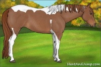 Horse Color:Red Roan Tobiano 