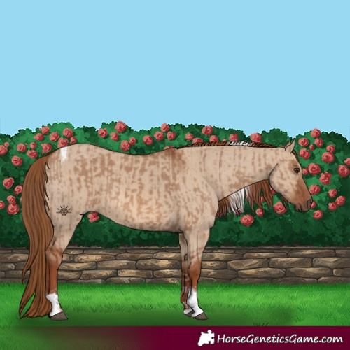 Horse Color:Red Dun Tobiano  and Red Dun Tobiano 