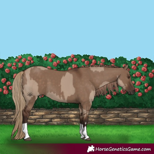 Horse Color:Liver Red Dun  and Liver Red Dun 