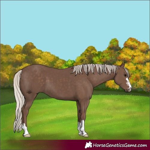 Horse Color:Silver Black