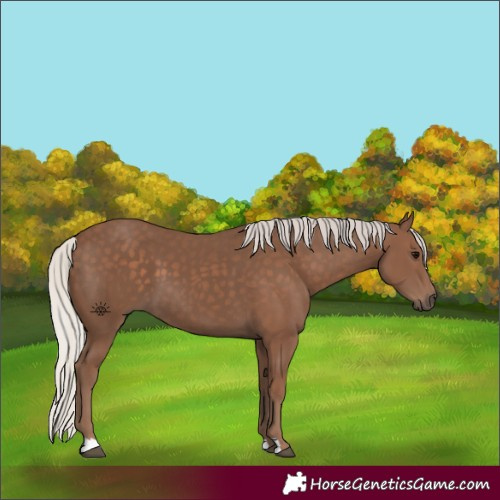 Horse Color:Silver Black