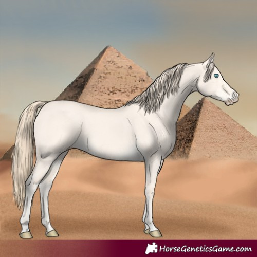 Horse Color:Perlino Dun 