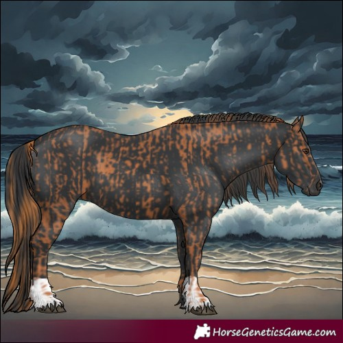 Horse Color:Chestnut  and Black 