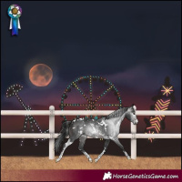Horse Color:Gray White Spotted Brown Sabino 