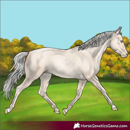 Horse Color:Silver Amber Cream Champagne Pearl 