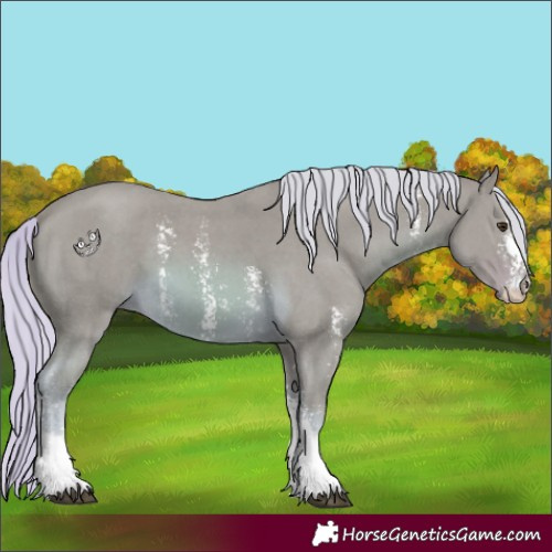 Horse Color:Watercolor Palomino Sabino 