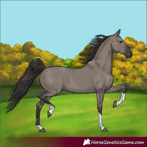 Horse Color:Smoky Grullo Tobiano