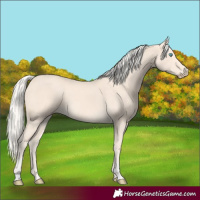 Horse Color:Cremello  and Cremello 