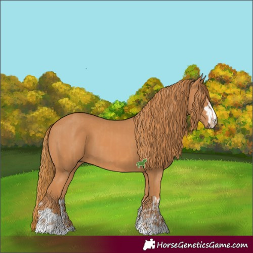 Horse Color:Chestnut  and Chestnut 