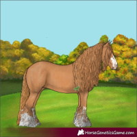 Horse Color:Chestnut and Chestnut