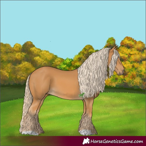 Horse Color:Palomino 