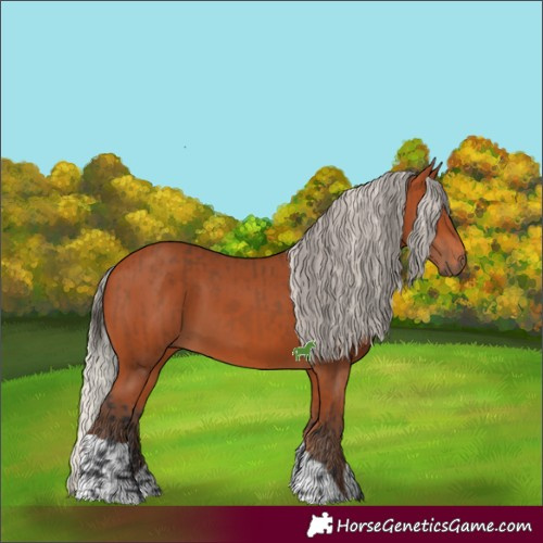Horse Color:Bay  and Silver Bay 