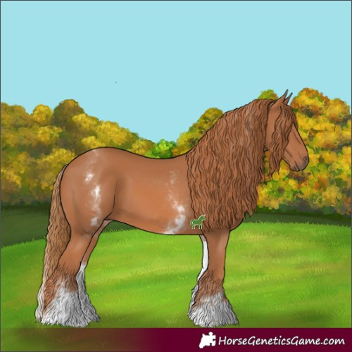 Horse Color:White Spotted Chestnut 