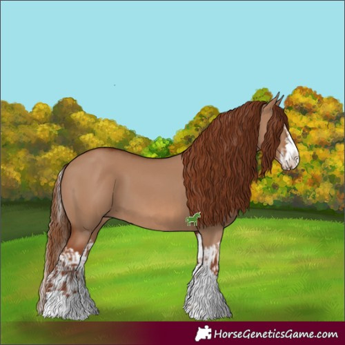 Horse Color:Red Dun  and Red Dun Splash 