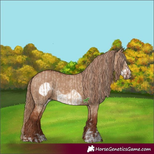 Horse Color:Red Dun  and Red Dun Frame 