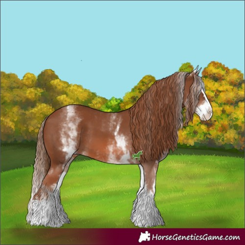 Horse Color:White Spotted Chestnut Splash