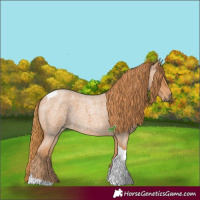 Horse Color:Red Roan Tobiano 