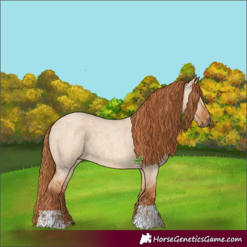 Horse Color:Red Dun Roan  and Red Dun Roan 