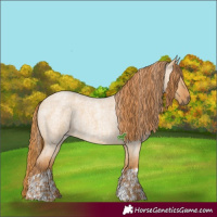 Horse Color:Red Dun Roan  and Red Dun Roan 