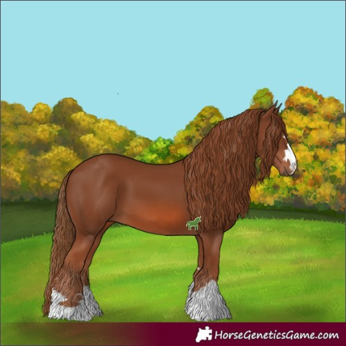 Horse Color:Chestnut 