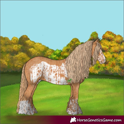 Horse Color:Chestnut Frame  and Chestnut Frame Appaloosa 