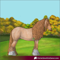 Horse Color:Red Roan Tobiano 
