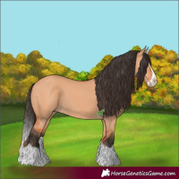 Horse Color:Bay Dun Splash Frame 