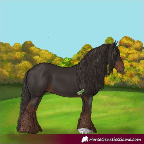 Horse Color:Liver Chestnut 