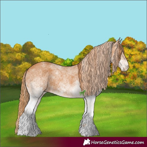Horse Color:White Spotted Chestnut 