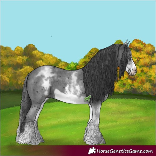 Horse Color:White Spotted Black Sabino Frame 