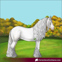 Horse Color:Gray Silver Amber Cream Champagne Roan Dun Splash Tobiano Frame Varnish Rabicano 