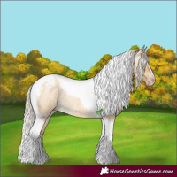 Horse Color:Gray Silver Amber Cream Champagne Roan Dun Splash Tobiano Frame Appaloosa Rabicano 