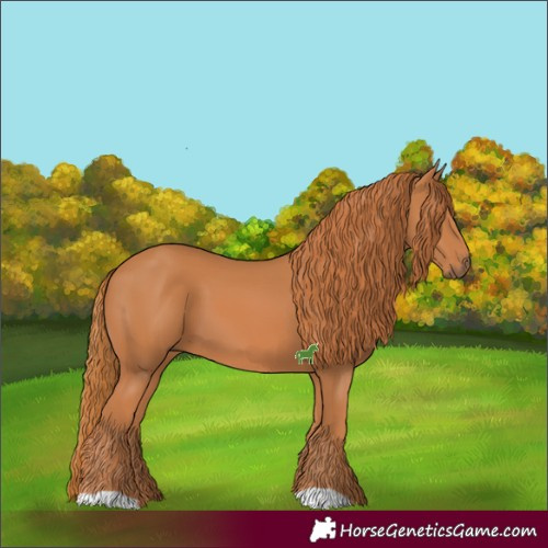 Horse Color:Chestnut 