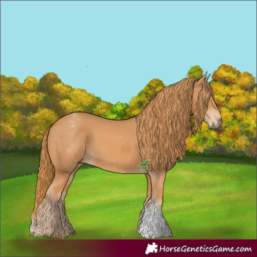 Horse Color:Chestnut  and White Spotted Chestnut 