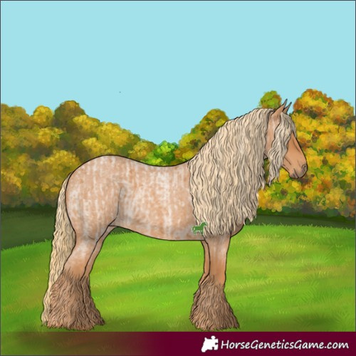 Horse Color:Red Roan  and Red Roan 