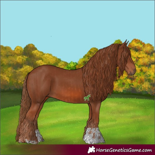 Horse Color:Chestnut  and Chestnut 