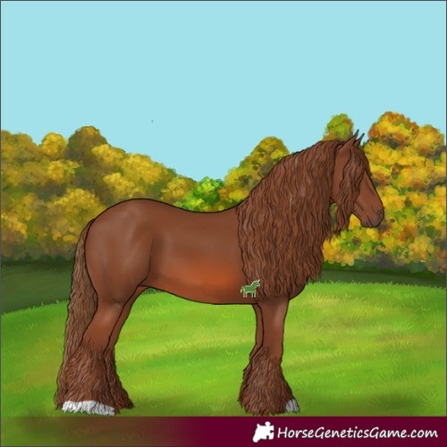 Horse Color:Chestnut 