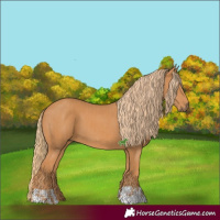Horse Color:Chestnut and Chestnut