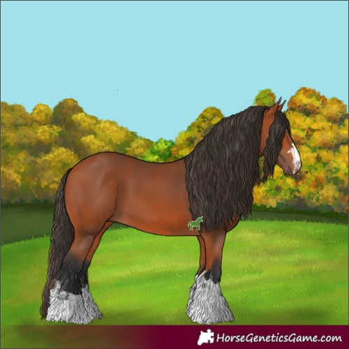 Horse Color:Bay  and Bay 