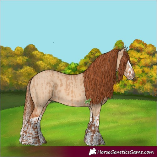 Horse Color:Red Dun  and Red Dun Splash 