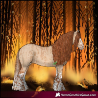 Horse Color:Red Dun and Red Dun Splash