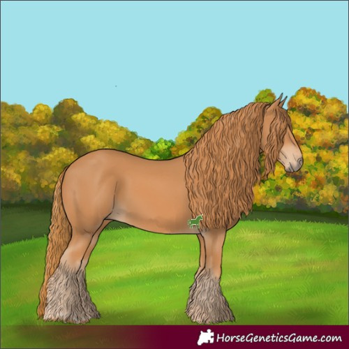 Horse Color:Chestnut  and Chestnut 