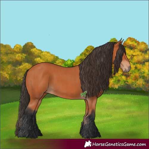 Horse Color:Bay  and Bay Rabicano 
